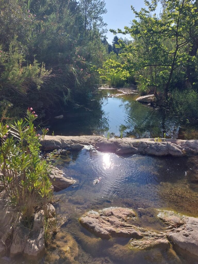 cañon-rio-magro
