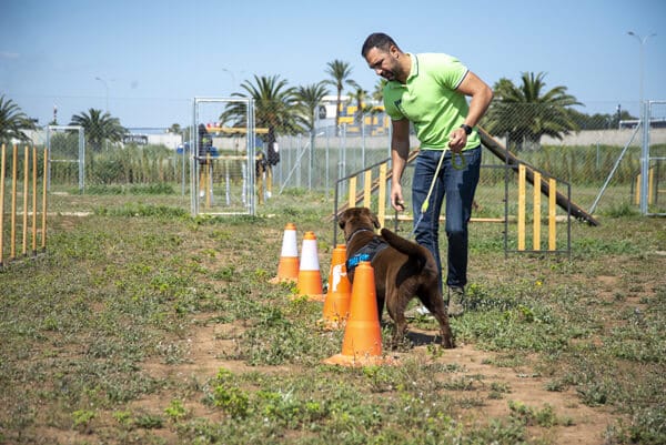 centro-canino-valencia