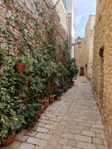 cervera-del-maestre-1