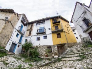 chiva-morella