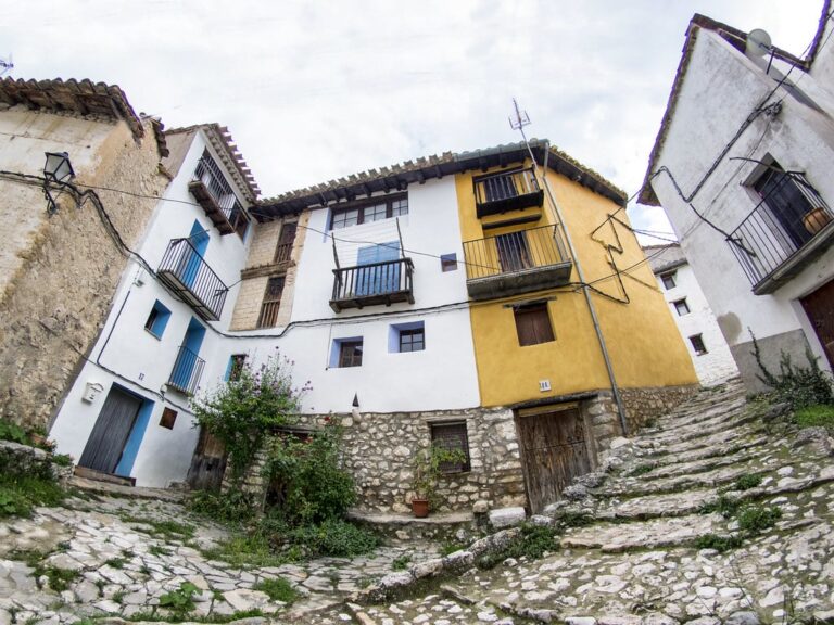 chiva-morella