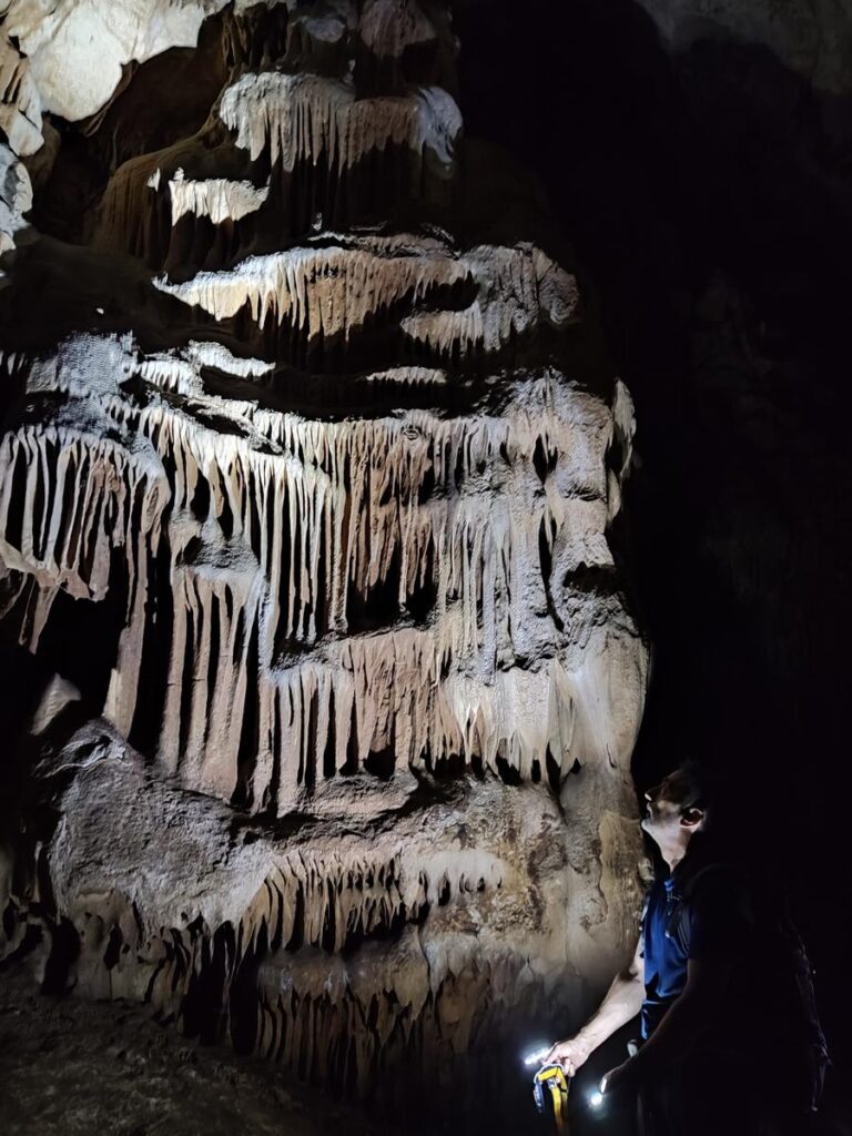 cova-bolumini