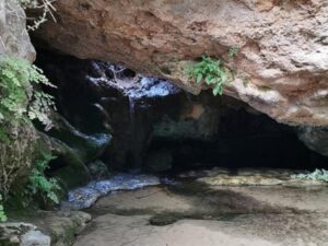 el Charco de las Tortugas en Quesa, Valencia