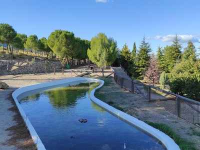 el Parque de las Coníferas en Jarafuel, Valencia