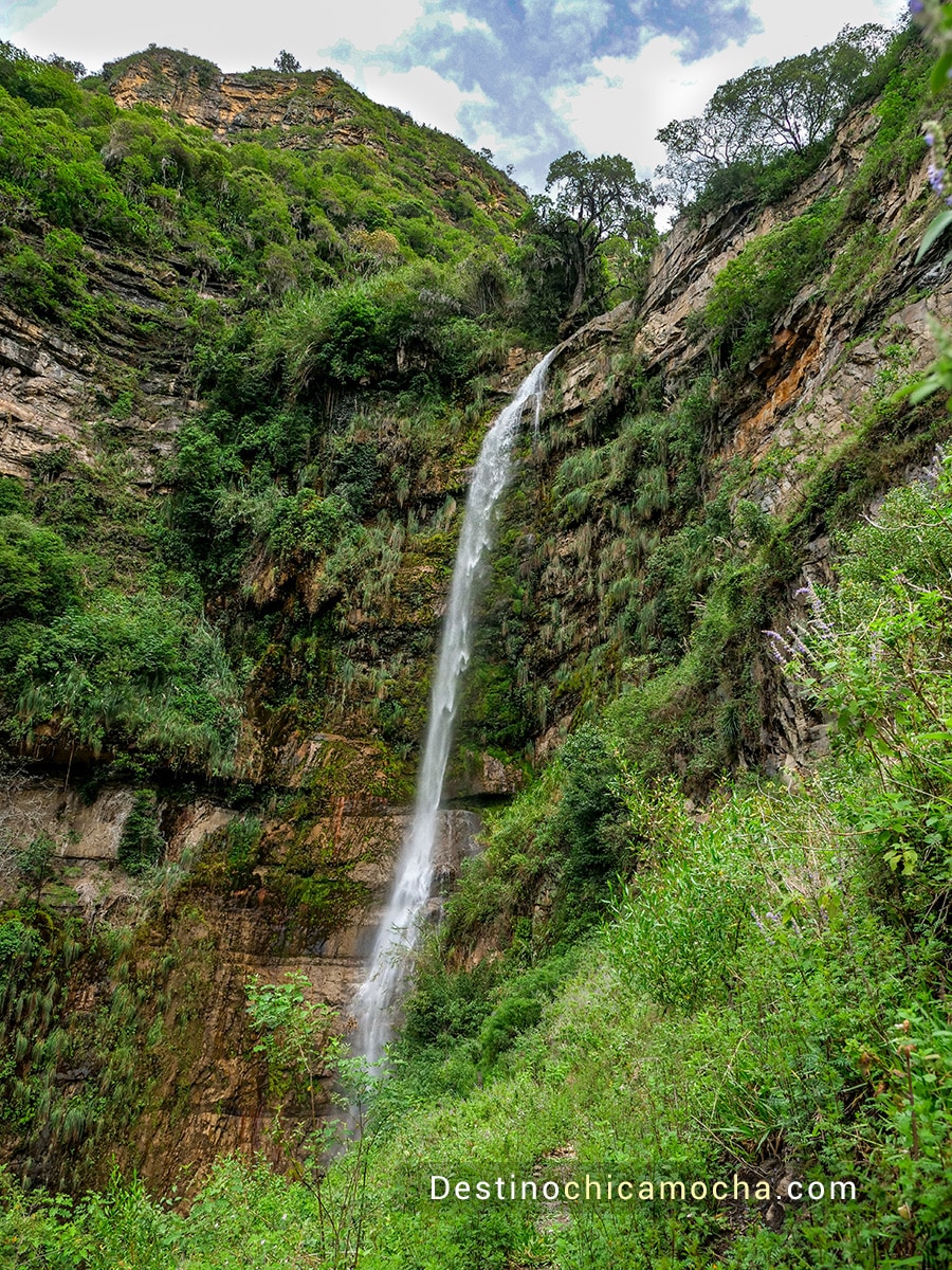 el Salto de la Chorrera