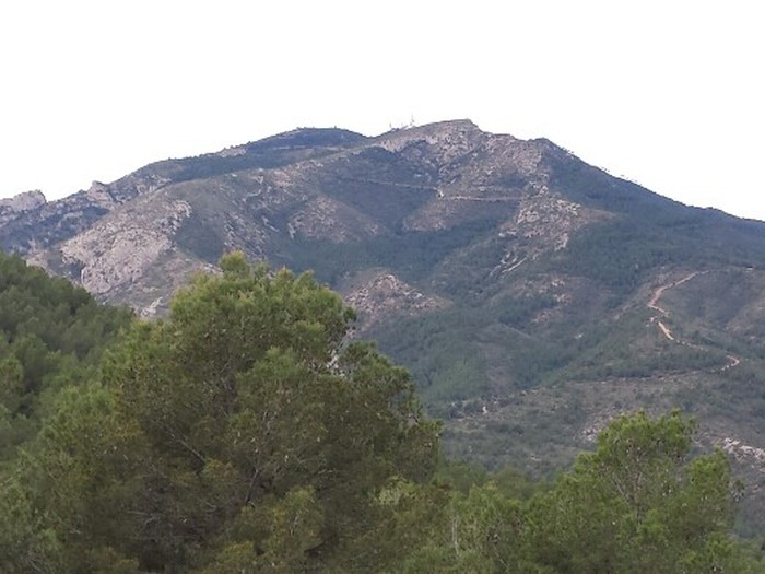 El borseral, Cabanes