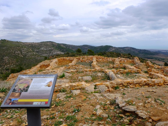 El borseral, Cabanes