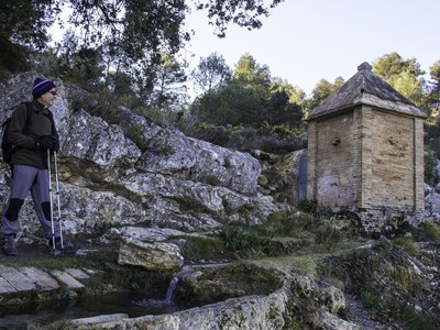 El bovar, Bocairent