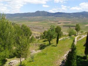 el camp de mirra