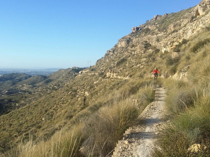 el campello