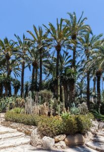 el-che-jardines-1