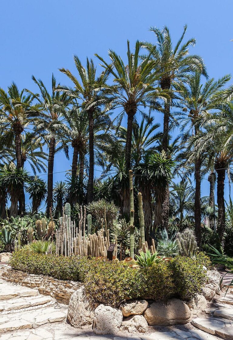 el-che-jardines-1