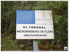 el fresnal