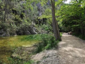 els-plans-senabre-beniarres