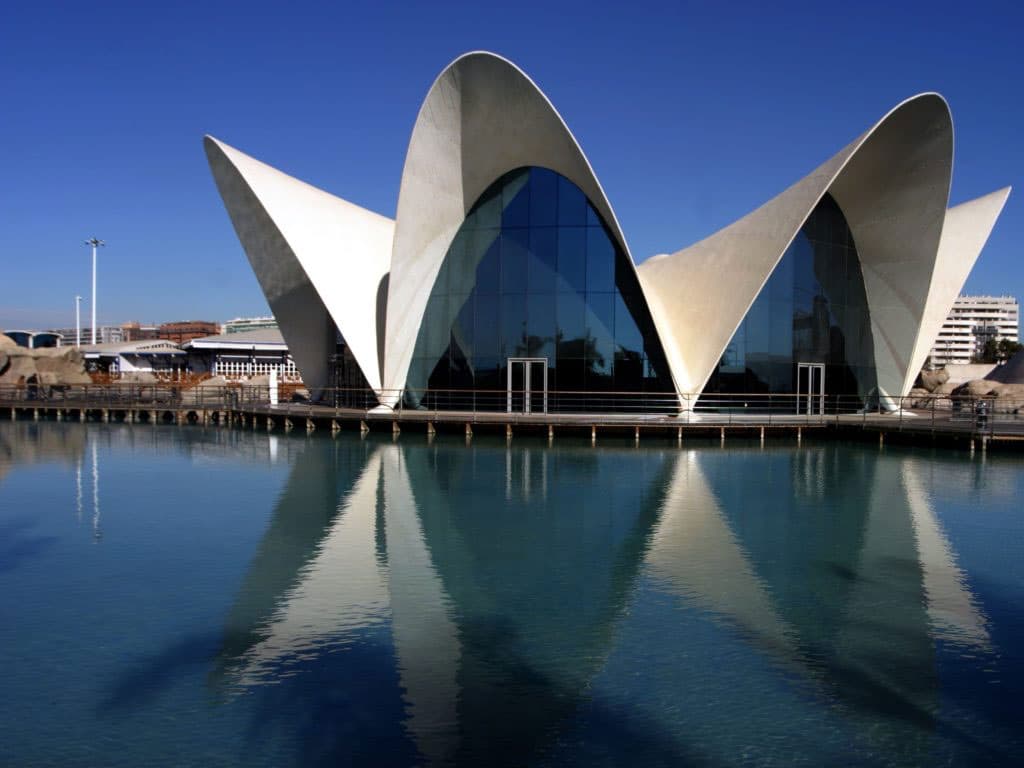 experiences-valencia-sleep-with-sharks-2