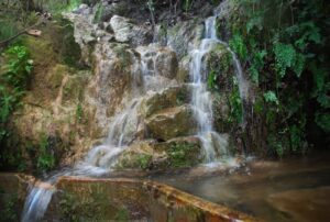 font-de-lloret-1