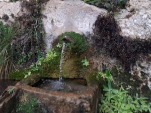 la Fuente de la Chirrichana en Requena