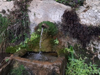 la Fuente de la Chirrichana en Requena