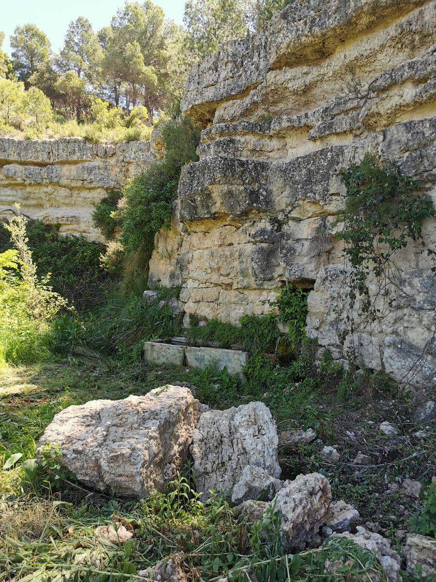 la Fuente de la Chirrichana en Requena