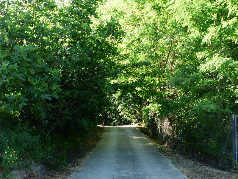 fuente de los nogales