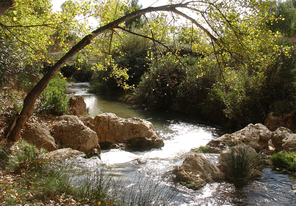 fuente-del-saz-tuejar