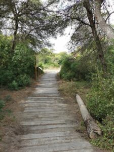 itinerario-deveses