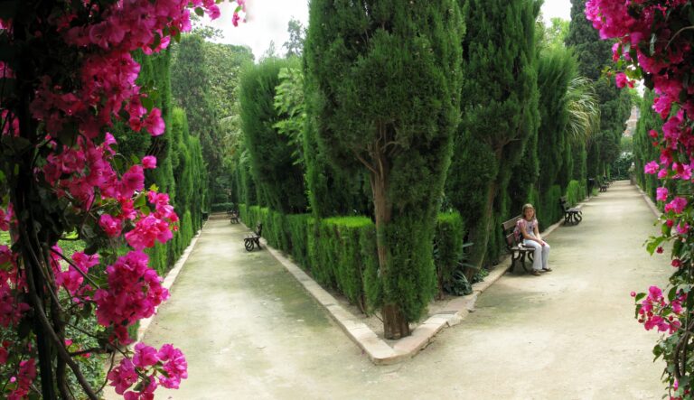 jardin-monforte-1