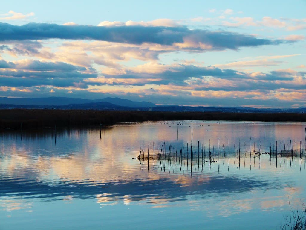 la albufera, Carlet