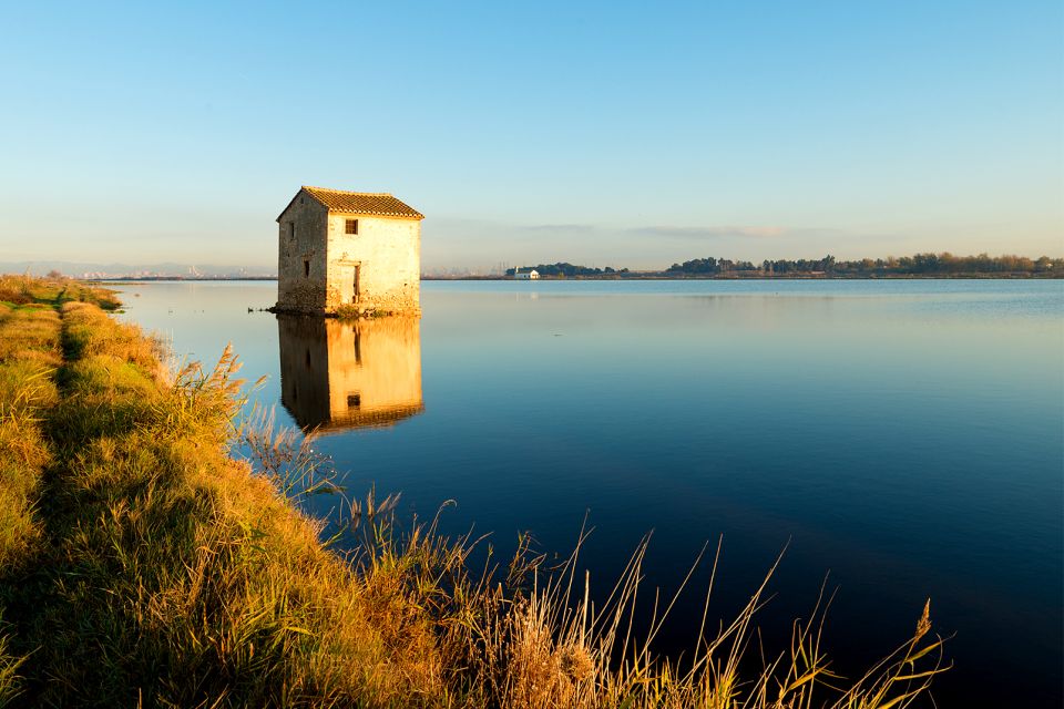 la-albufera-de-valencia-fauna-y-flora