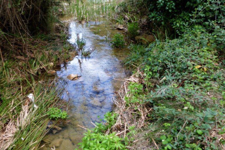 La Cueva del Turche