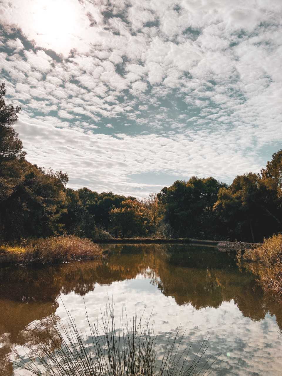 La Vallesa en Paterna, Valencia