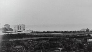 malvarrosa-felix-robillard