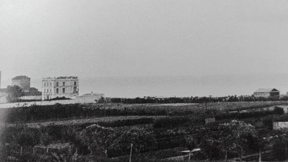 malvarrosa-felix-robillard