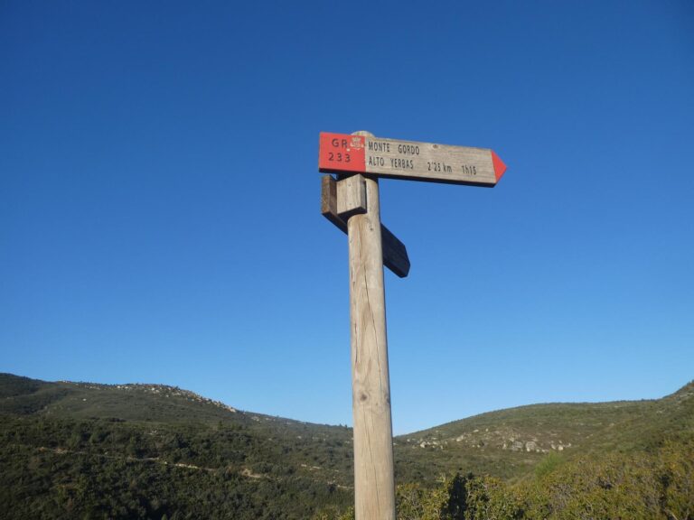 monte-gordo