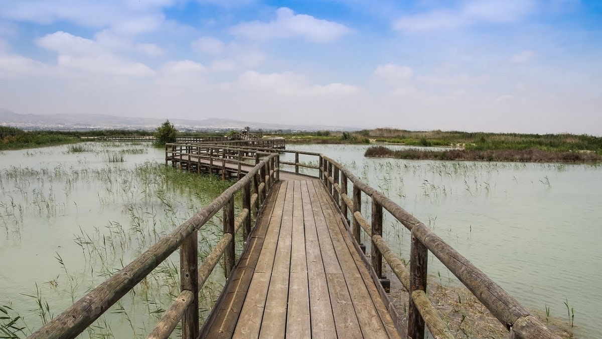 parque natural el hondo,Alicante