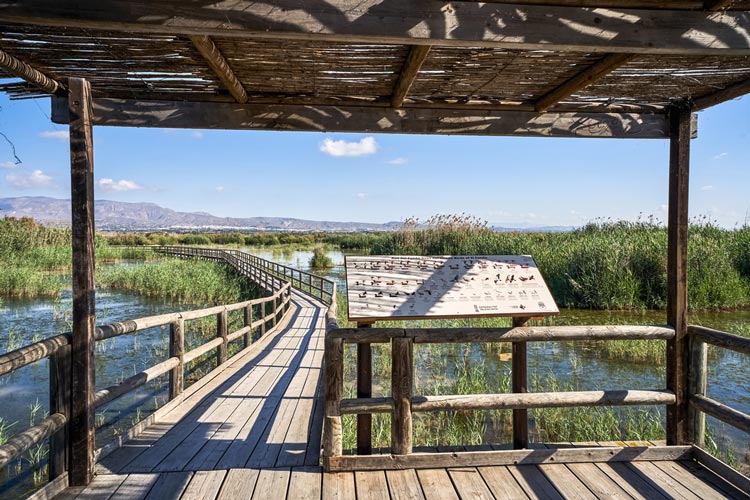 parque natural el hondo,Alicante