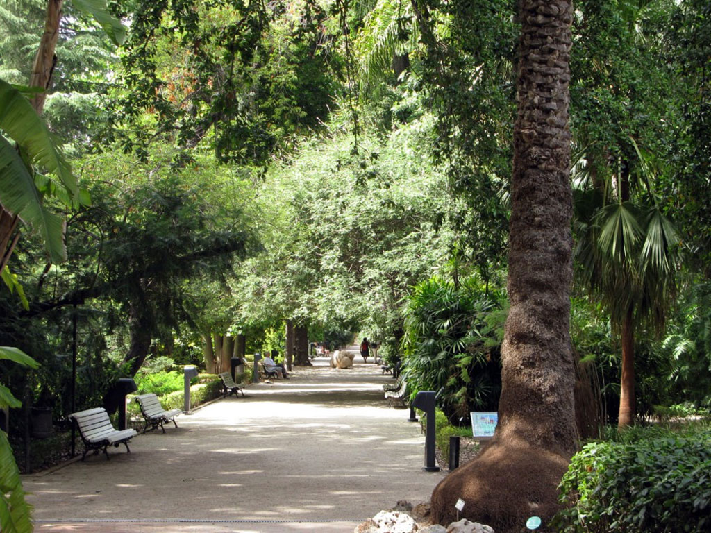 Parques y jardines de Valencia | Experiences valencia