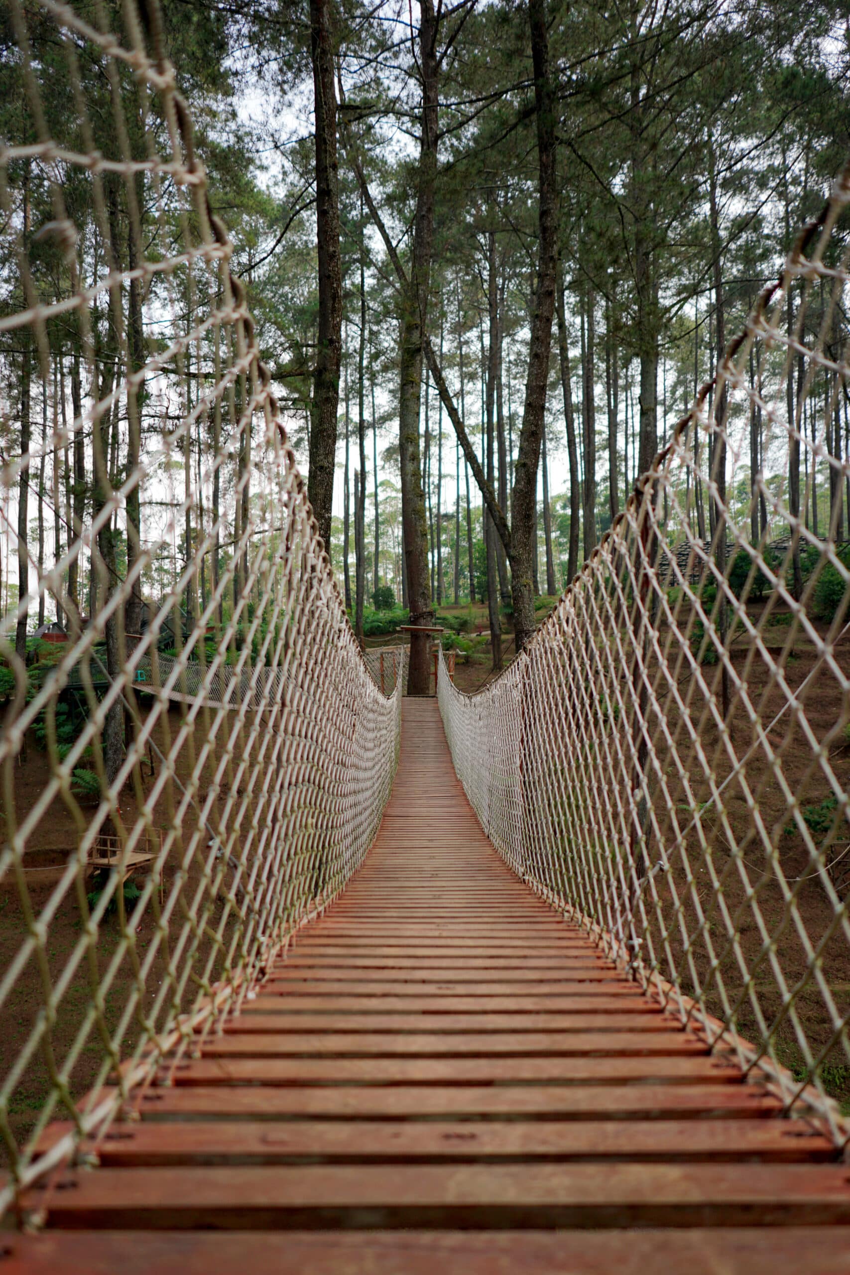 Descubre el Parque Gulliver: diversión asegurada para toda la familia