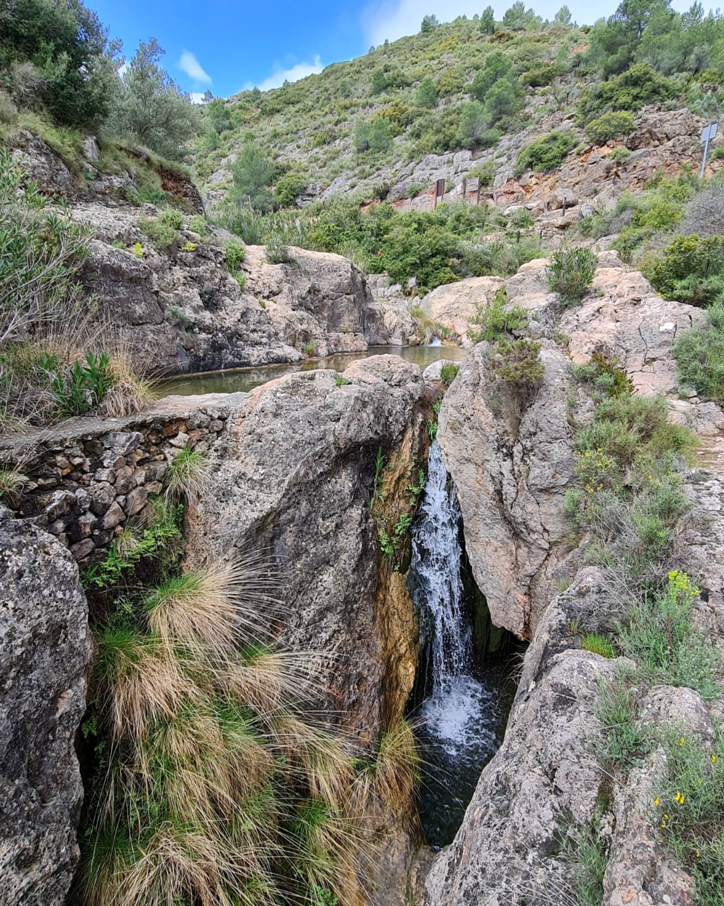 pocicos-de-altura