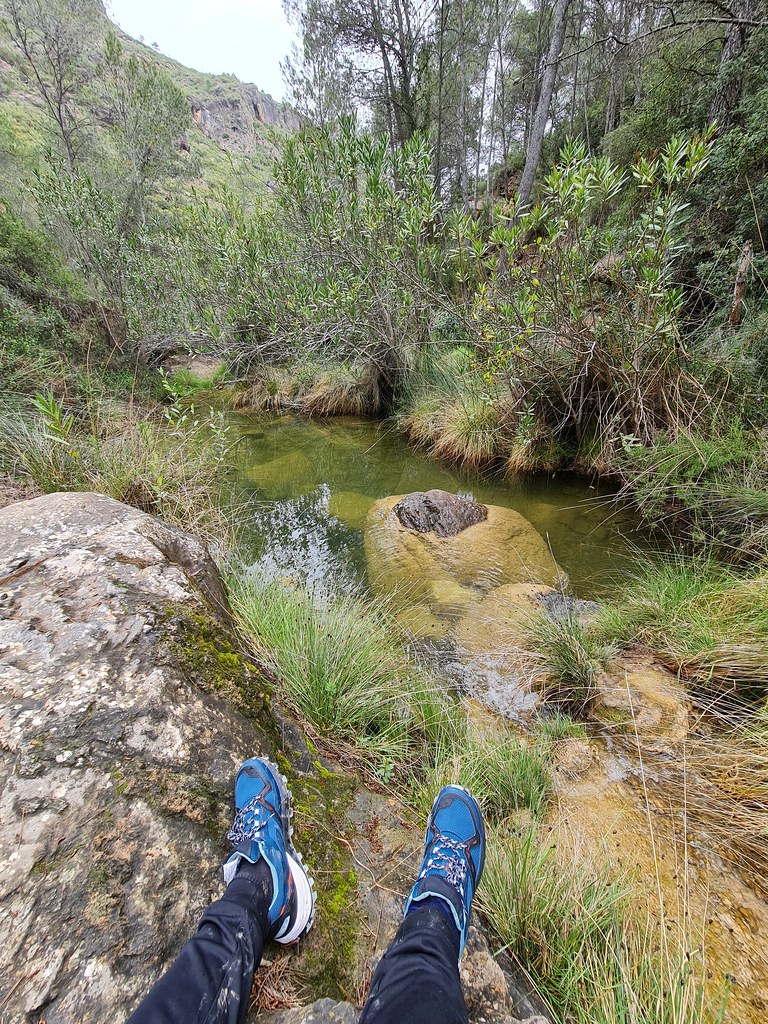 pocicos del barranco de la mena,Altura