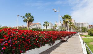 Puente de las flores, Valencia