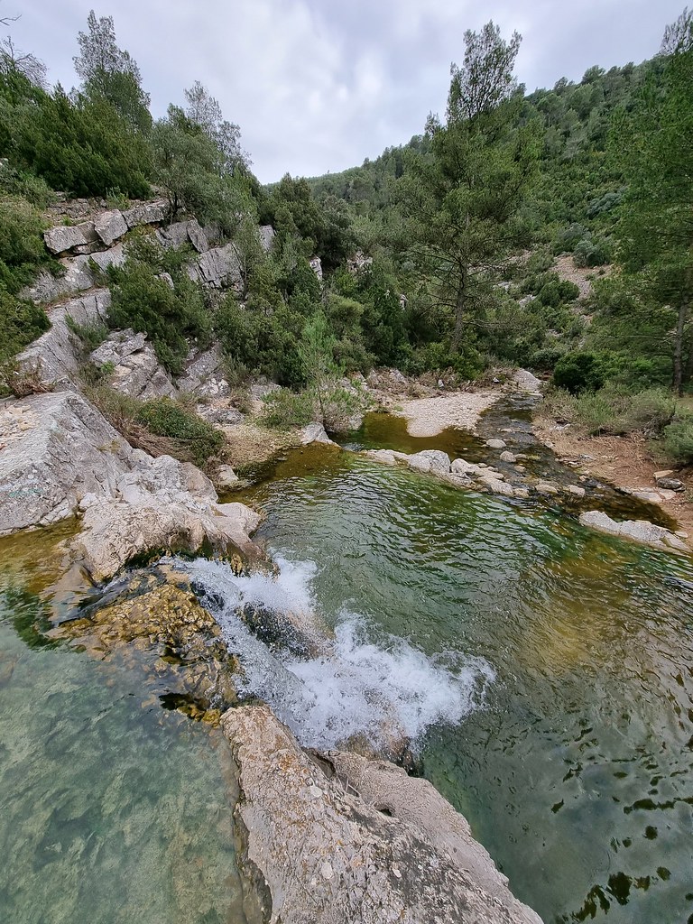 Rambla de los Gallegos