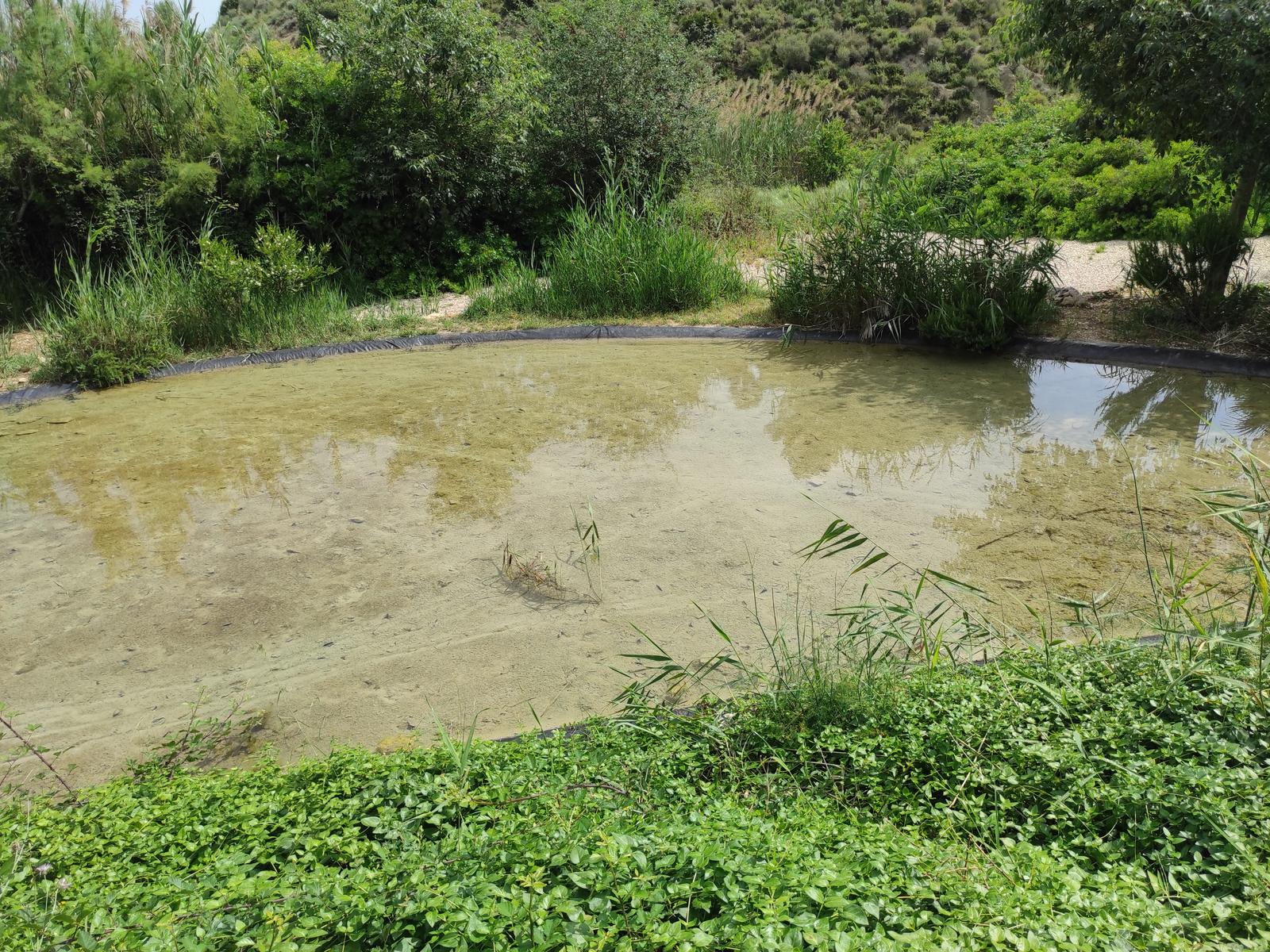 salinas -de-manuel-1