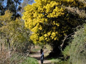 Descubre las mejores rutas senderistas