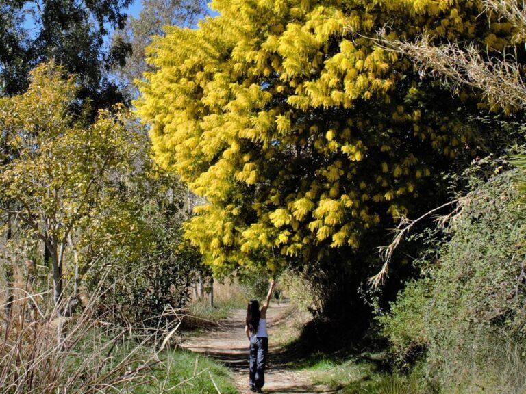 Descubre las mejores rutas senderistas