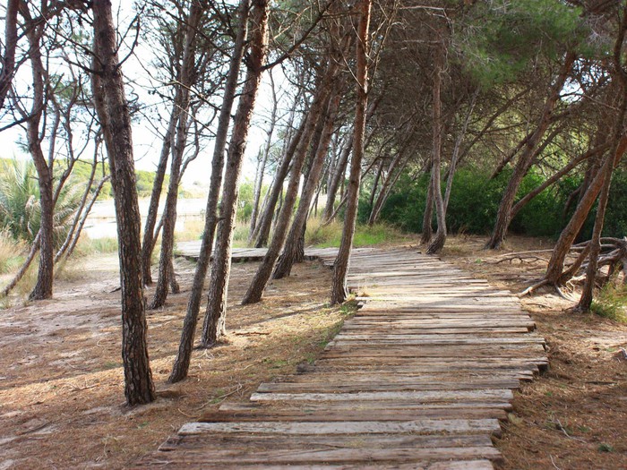 sendero-albufera