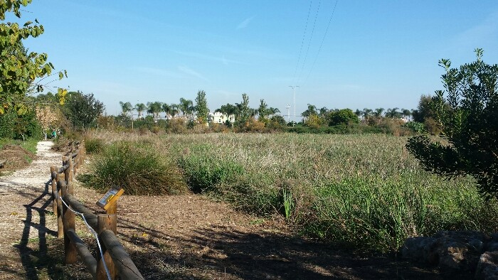 ullal-ruta-de-joana-tavernes