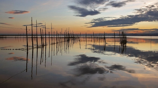 valencia-parque-natural-de-la-albufera