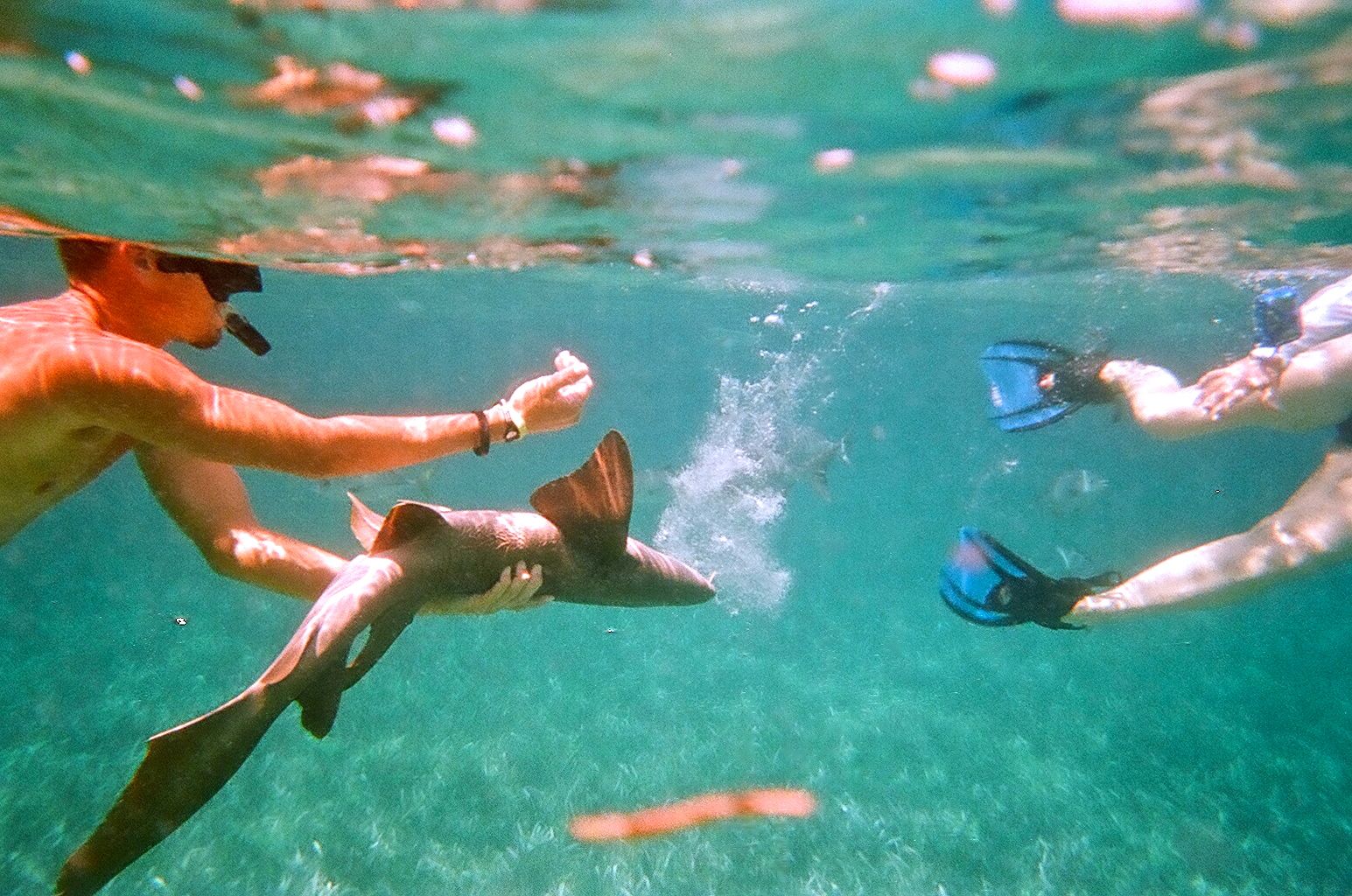 - Un paraíso acuático en Xàbia: el snorkel en las calas del Fránces y Sardinera, una experiencia mágica