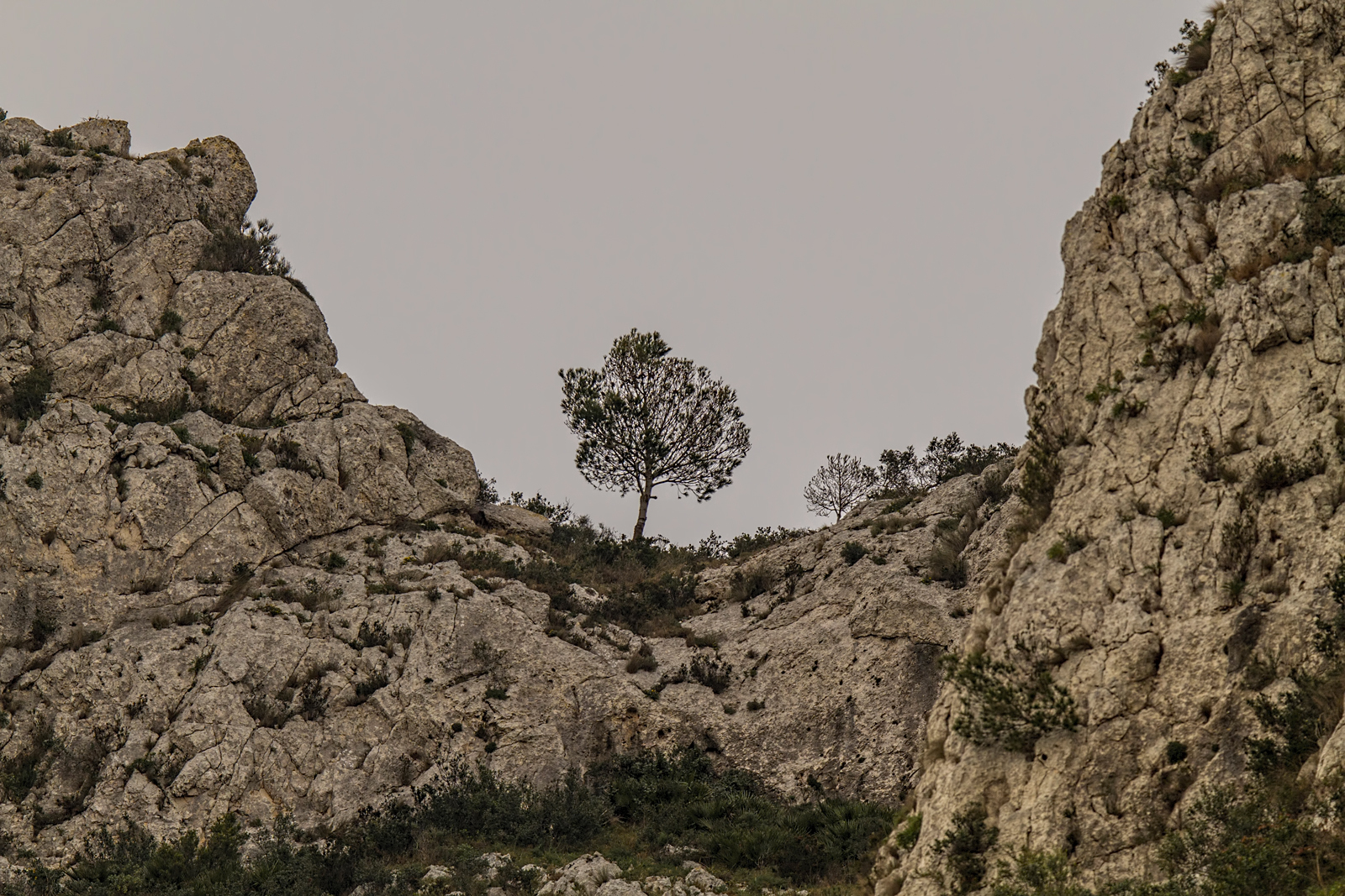 - Recomendaciones para visitar Montgó: consejos útiles y experiencias imperdibles